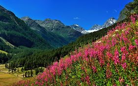 Appartamenti Edelweiss